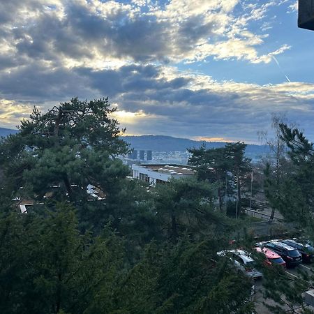 Lovely Room, 15 Min From Center, Mountain View チューリッヒ エクステリア 写真