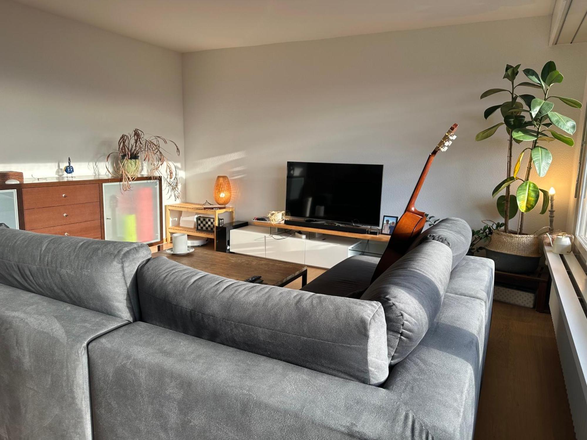 Lovely Room, 15 Min From Center, Mountain View チューリッヒ エクステリア 写真