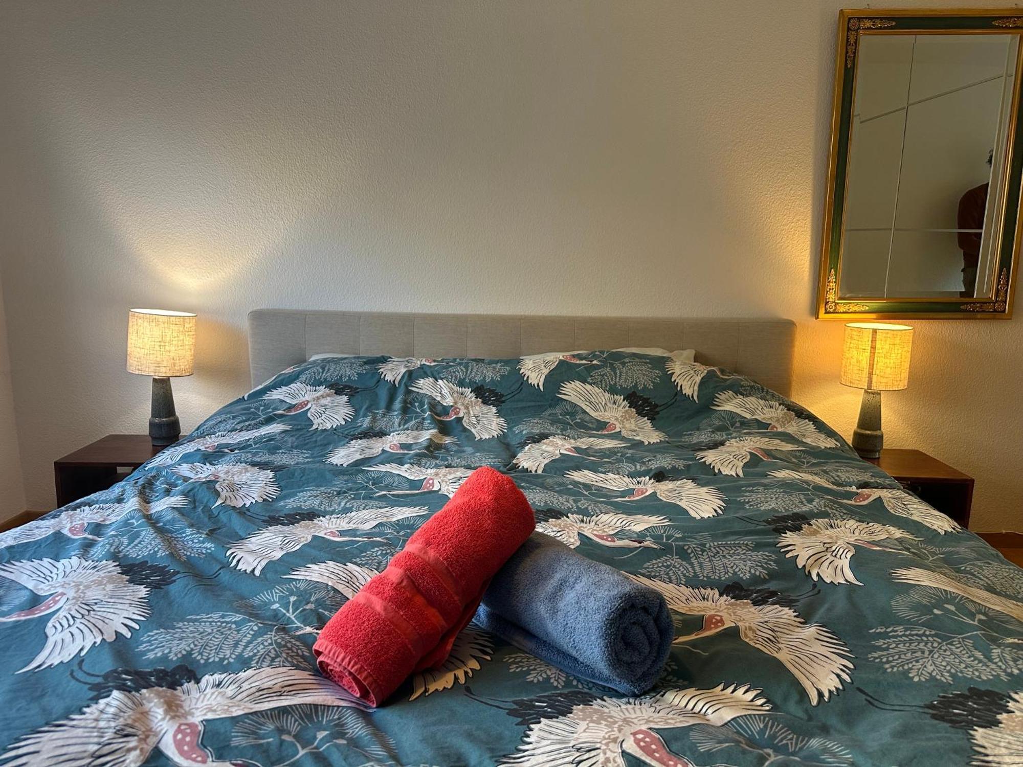 Lovely Room, 15 Min From Center, Mountain View チューリッヒ エクステリア 写真