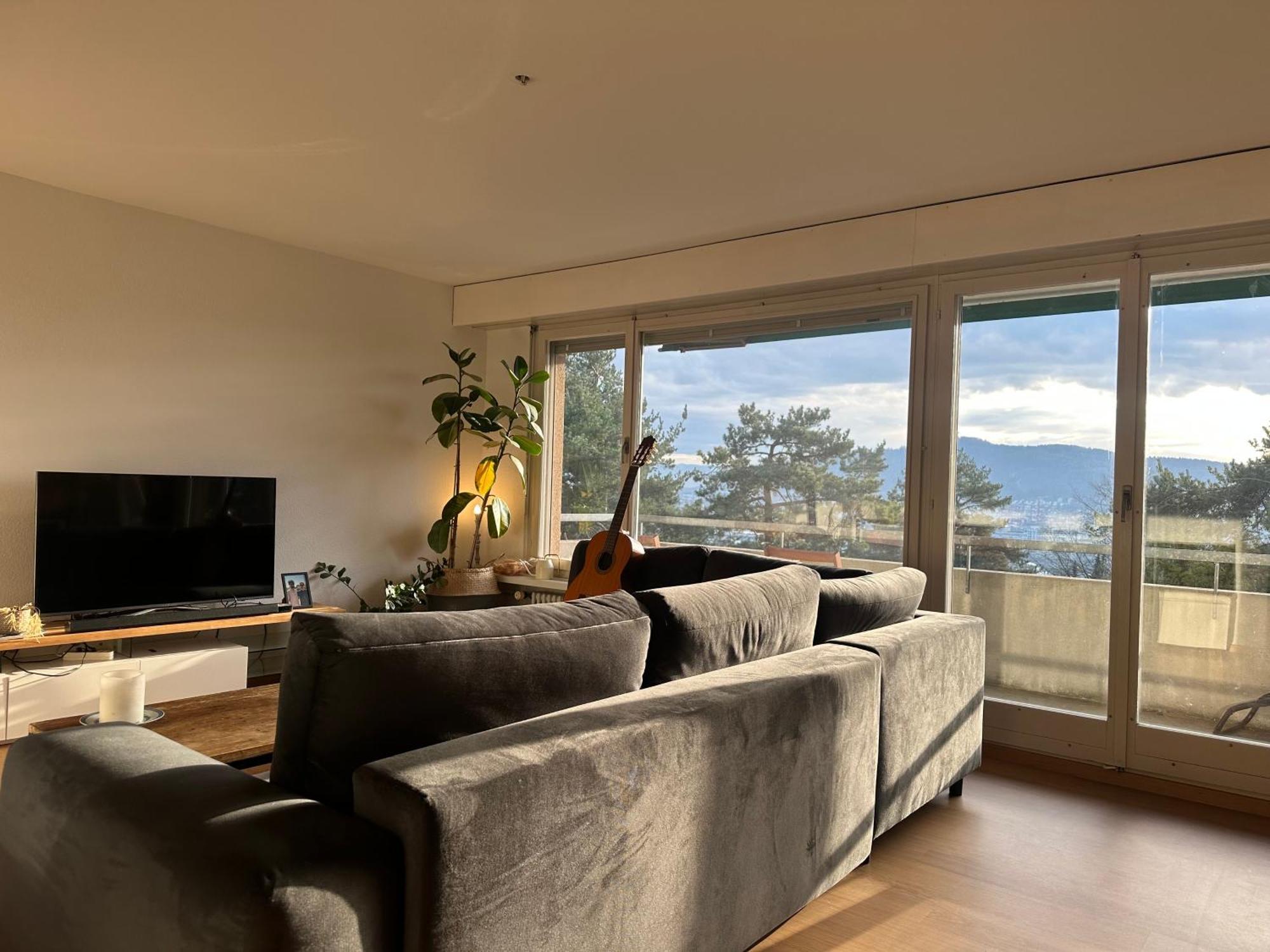 Lovely Room, 15 Min From Center, Mountain View チューリッヒ エクステリア 写真