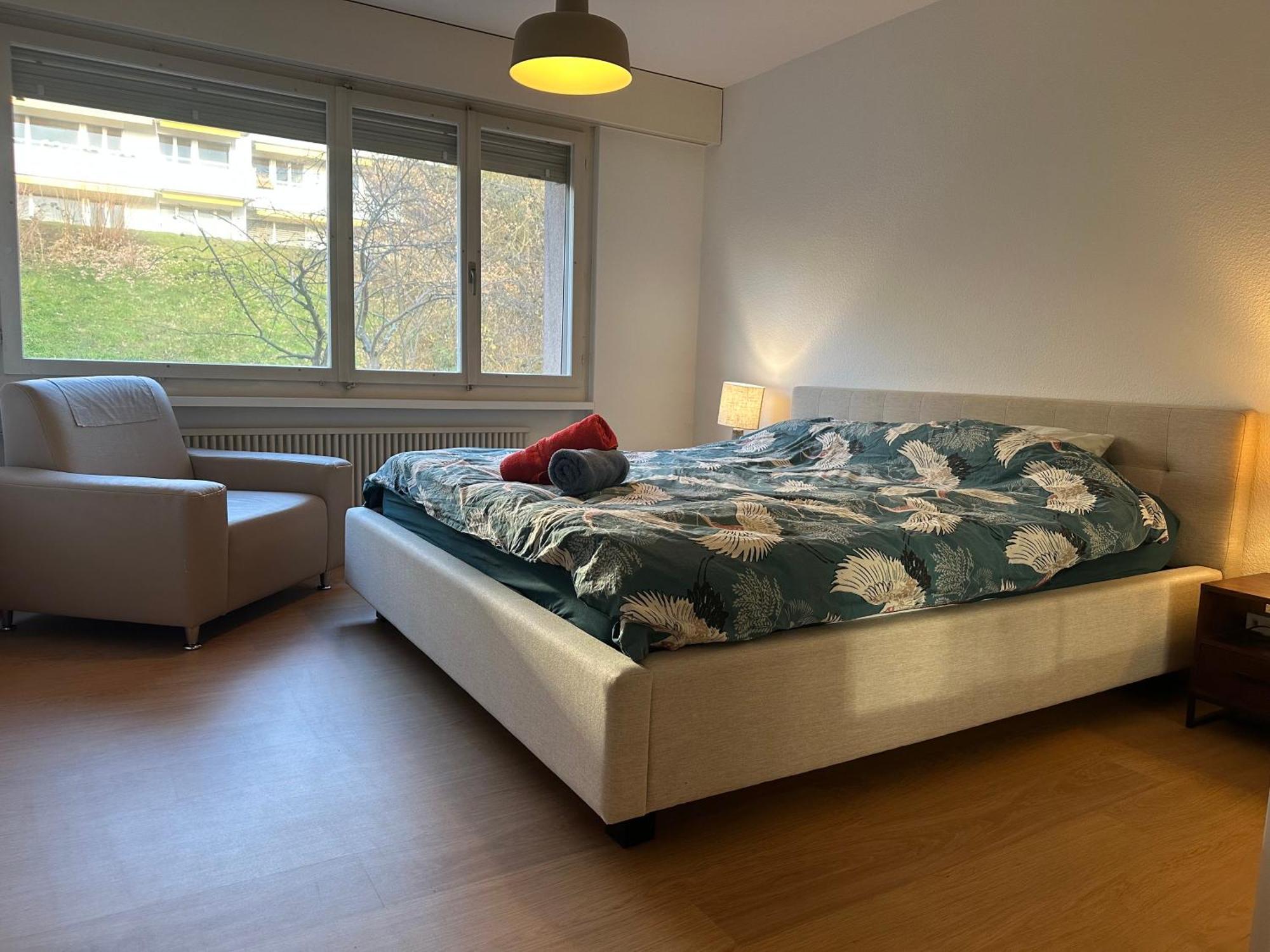 Lovely Room, 15 Min From Center, Mountain View チューリッヒ エクステリア 写真